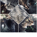 Mikey boutique