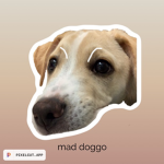Doggo fanatics