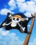 Straw Hat Pirate Official