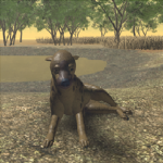 Official Doggo Clan (Savanna RP)
