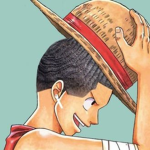 One Piece Supporters
