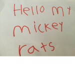Mickey rat fan group!