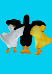 * DuckySquad *