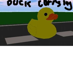 Duck crossing!