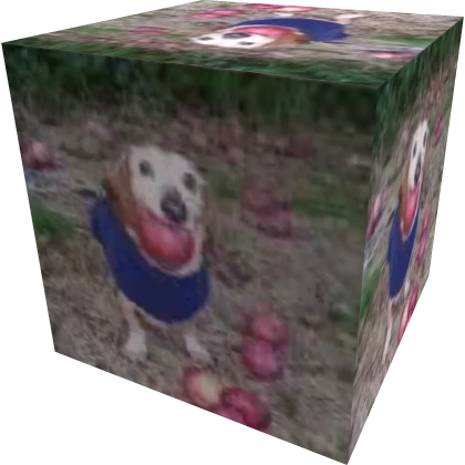 Item Thumbnail