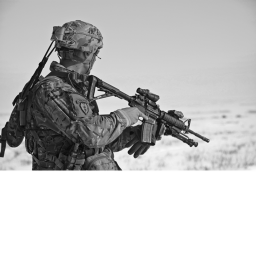 British Army [Rip The Queen]