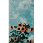 -FRIENDS ONLY- giveaways xoxo <3