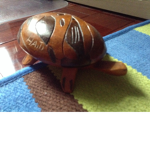 Turtles rocks
