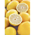 LEMON SQUAD UnU
