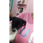 Filipe FNF