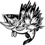 Fish on Fire