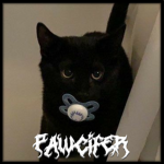 PAWCIFER
