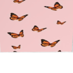 Butterfly Family <3