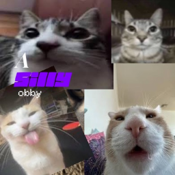 a silly obby