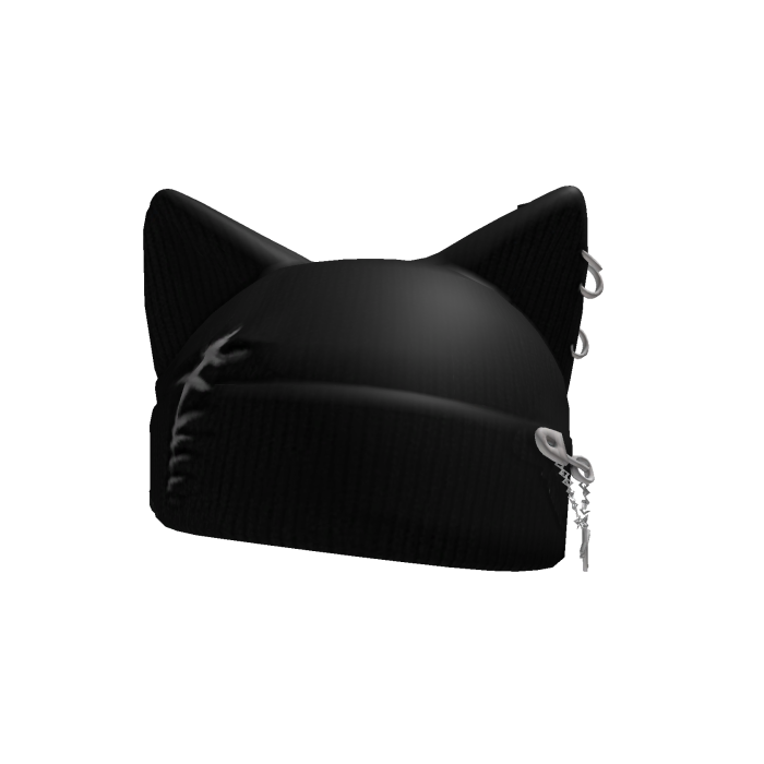 black & furry cat