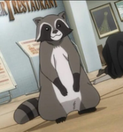 Ranbo Racoon Studios