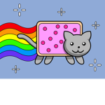 Amber_cat8