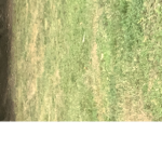 Touch grass plz