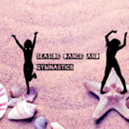 SDAG gymnastics gym!