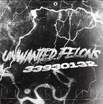 Unwantedfelons