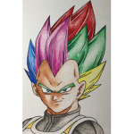 The Vegeta Forms