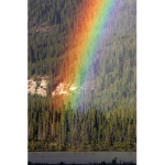 LGBTQIA+ / Vent group