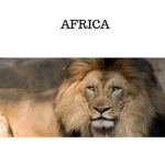 AFRICAN RESISTANCE