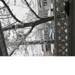 Snowy days are amazing