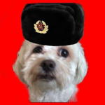 Benji Union