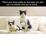 the two boss