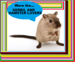 Gerbil/Hamster Lovers