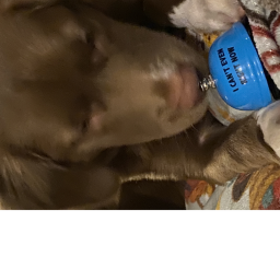 hi this is important to play