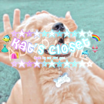 - kat’s closet! -
