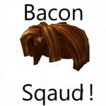 Bacon Squad! [bacons only]