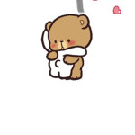 PLSS-