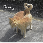 - blair’s -