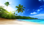 #Tropical Gang
