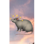 Aesthetic Rat Squad >:)