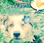 - LuvPup -