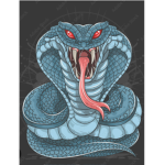 Cobra clan!!!!!!!