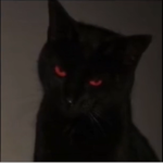 <unfortunate>
