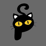 P🐈‍⬛