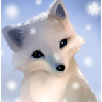 #TeamFoxes