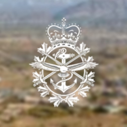🪂[RAID]🪂Al Qadisiyah Province, Iraq