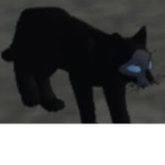 Warrior Cats Ultimate Edition : NPC hunts