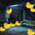 Mooonn Cat Basement