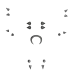 Rockstar Punk Silver Extreme Piercing Set