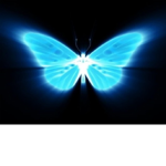 I Butterfly