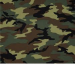 Branch Roblox military camo