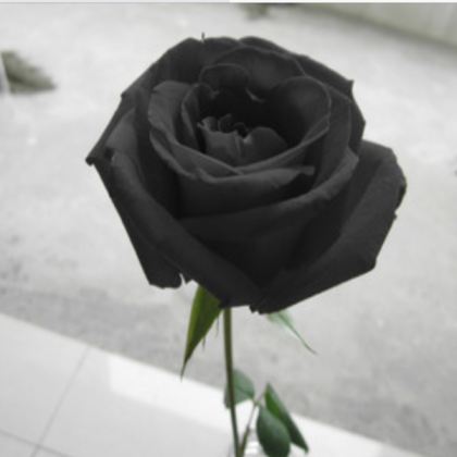 black aesthetics Roblox decal
